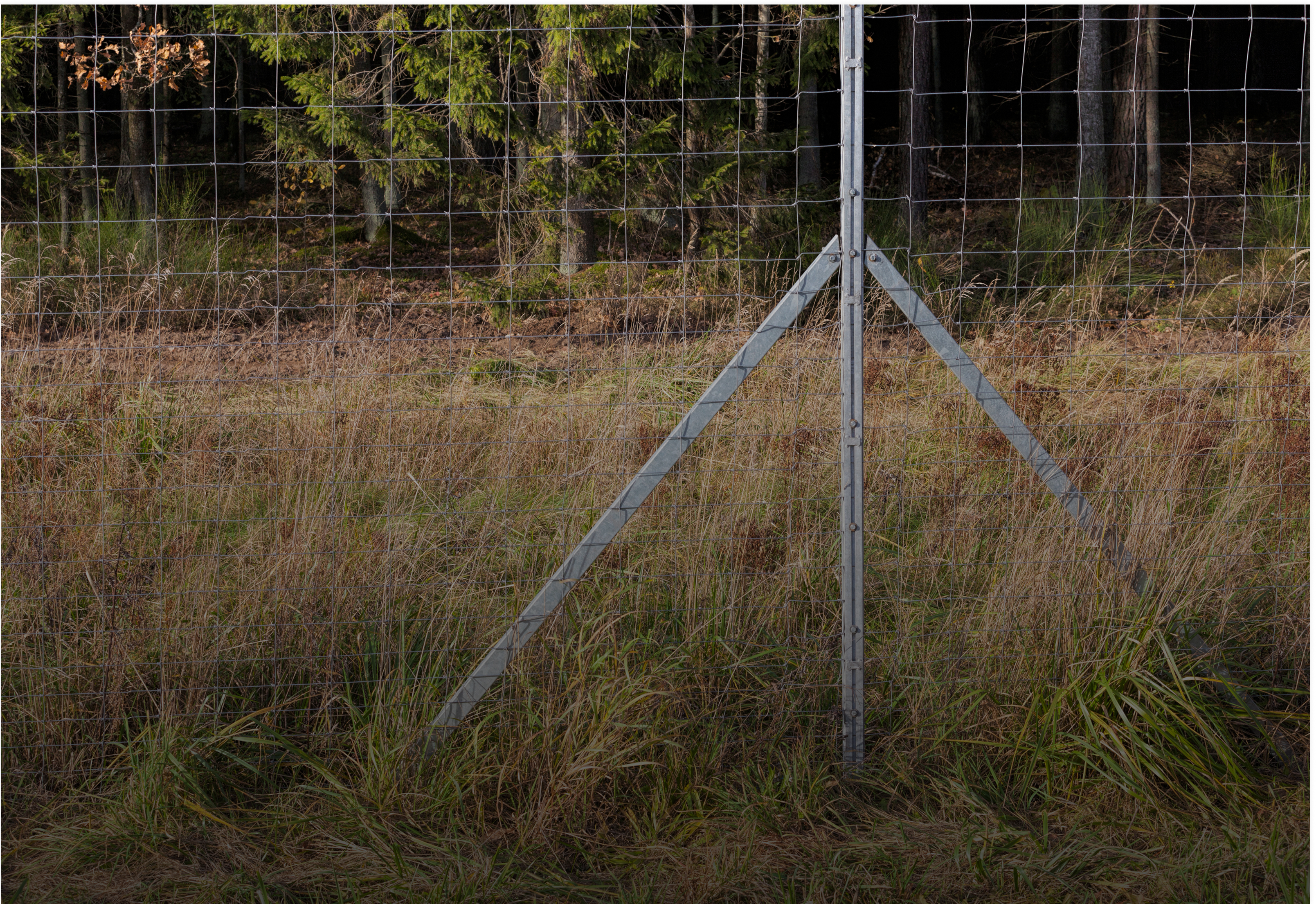 Application